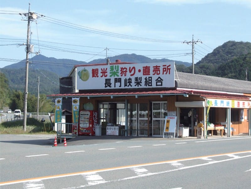 長門峡梨組合（直売所）